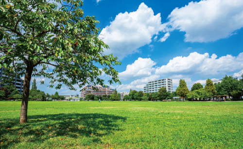桃井原っぱ公園