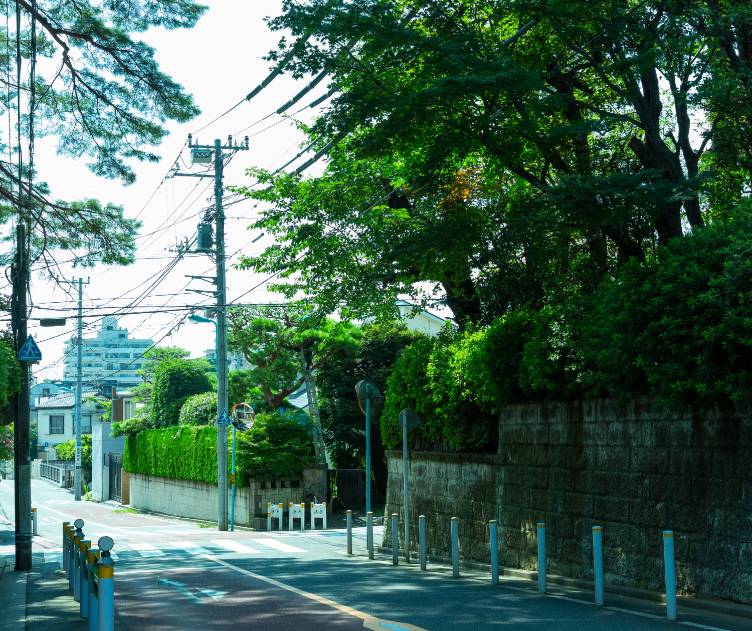 土地の声を聴く。